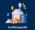 Top AEPS Companies in India 2022